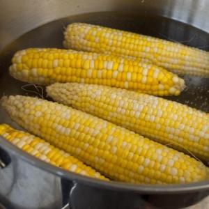 Как и сколько варить кукурузу молодую